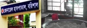 বরিশালে জেনারেল হাসপাতালে রোগীদের খাবারের রান্না ঘরে বিড়ালের বসতি