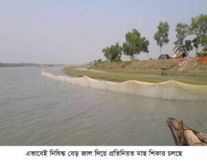 তেঁতুলিয়া ও লোহালিয়ায় নিষিদ্ধ জালে অবাধে মাছ শিকার