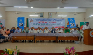 মেঘনায় আ’লীগের বর্ধিত সভা অনুষ্ঠিত