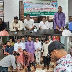বাউফলে বিনামূল্যে পিপিআর টিকা প্রদান ক্যাম্পেইন