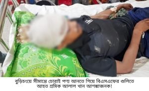 রাত গভীর হলেই সীমান্তে চোরাই কারবারিদের হাটবাজার
