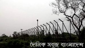 কসবা সীমান্তে বিএসএফের গুলিতে দুই বাংলাদেশি আহত