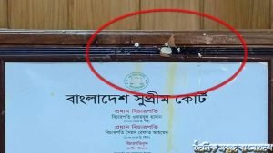 বিচারপতিকে এজলাসে ডিম ছুড়ে মারলেন আইনজীবীরা