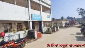 বরগুনায় শিক্ষা অফিসের হিসাব সহকারীর বিরুদ্ধে ১৫ শিক্ষকের অভিযোগ