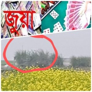 শাহজাদপুর বাড়াবিল কুয়ার চর ভয়ংকর জুয়ার আসর