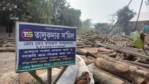 কাঠ পুড়িয়ে ব্রয়লার সংরক্ষণ: অভিযোগ উঠলো তালুকদার ‌’স’ মিলের বিরুদ্ধে