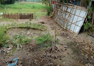বরুড়ার হুরুয়ায় আদালতের রায় উপেক্ষা করে জমি দখলের চেষ্টার অভিযোগ