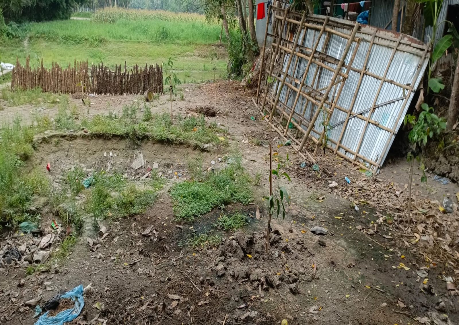বরুড়ার হুরুয়ায় আদালতের রায় উপেক্ষা করে জমি দখলের চেষ্টার অভিযোগ