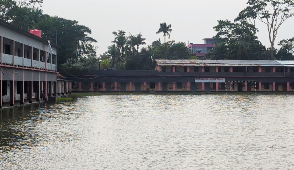 চারদিনের বৃষ্টিতে ডুবে আছে আমতলী, নিস্কাশন না থাকায় দুর্ভোগে লাখো মানুষ