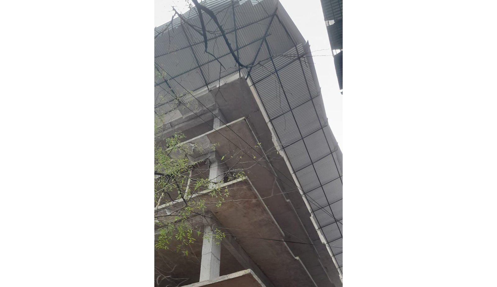 বহুতল ভবন নির্মাণে রাজউকের আইন মানছেন না মফিজ উদ্দিন