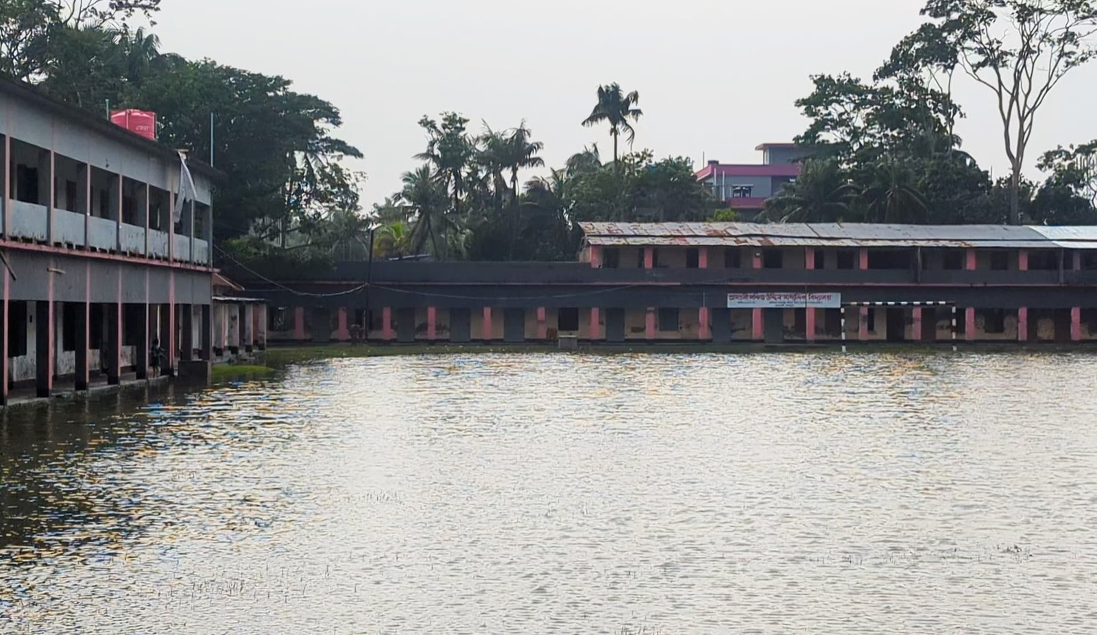 চারদিনের বৃষ্টিতে ডুবে আছে আমতলী, নিস্কাশন না থাকায় দুর্ভোগে লাখো মানুষ