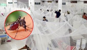 আশঙ্কাজনক হারে বাড়ছে ডেঙ্গু রোগীর সংক্রমণ