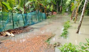 জোয়ারের পানিতে ২০ গ্রাম প্লাবিত বেড়িবাঁধ না থাকায় ব্যাপক ক্ষতি