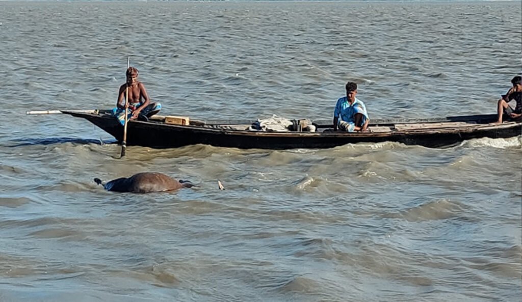পদ্মা যমুনায় প্রকাশ্যে চাঁদাবাজি ছিনতাই