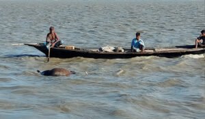 পদ্মা যমুনায় প্রকাশ্যে চাঁদাবাজি ছিনতাই