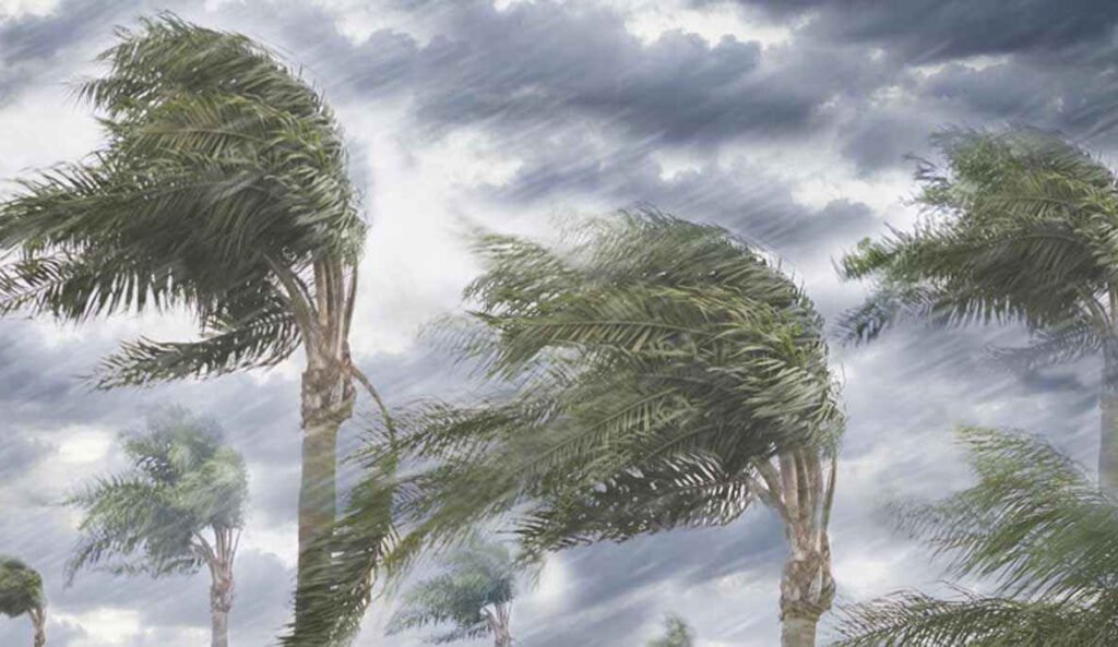 দুপুরের মধ্যে ৮ অঞ্চলে ঝড়ের আশঙ্কা