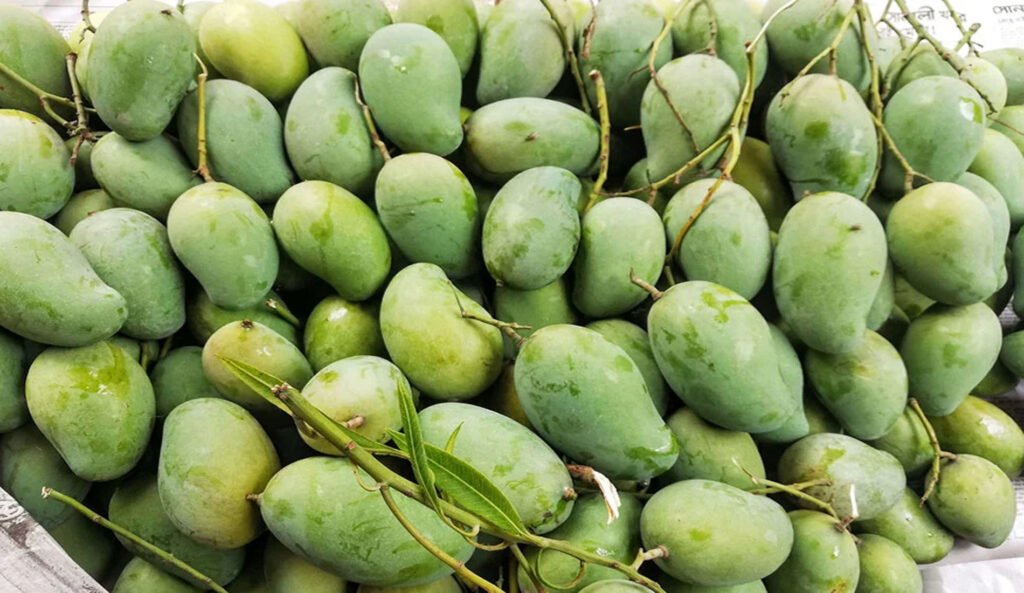 গাজীপুর জেলা কারাগারে বন্দীদের মাঝে আম বিতরণ