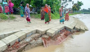 ঠিকাদারের হস্তান্তরের আগেই মধুমতীর তীর সংরক্ষণ বাঁধে ধস