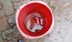 ফরিদপুরে বসতবাড়ির আঙিনা থেকে ককটেল উদ্ধার