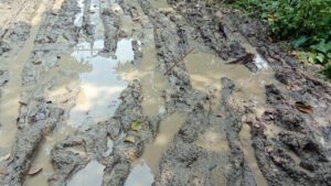 মাগুরায় তিন কিলোমিটার রাস্তায় কাদা ও জলাবদ্ধতা