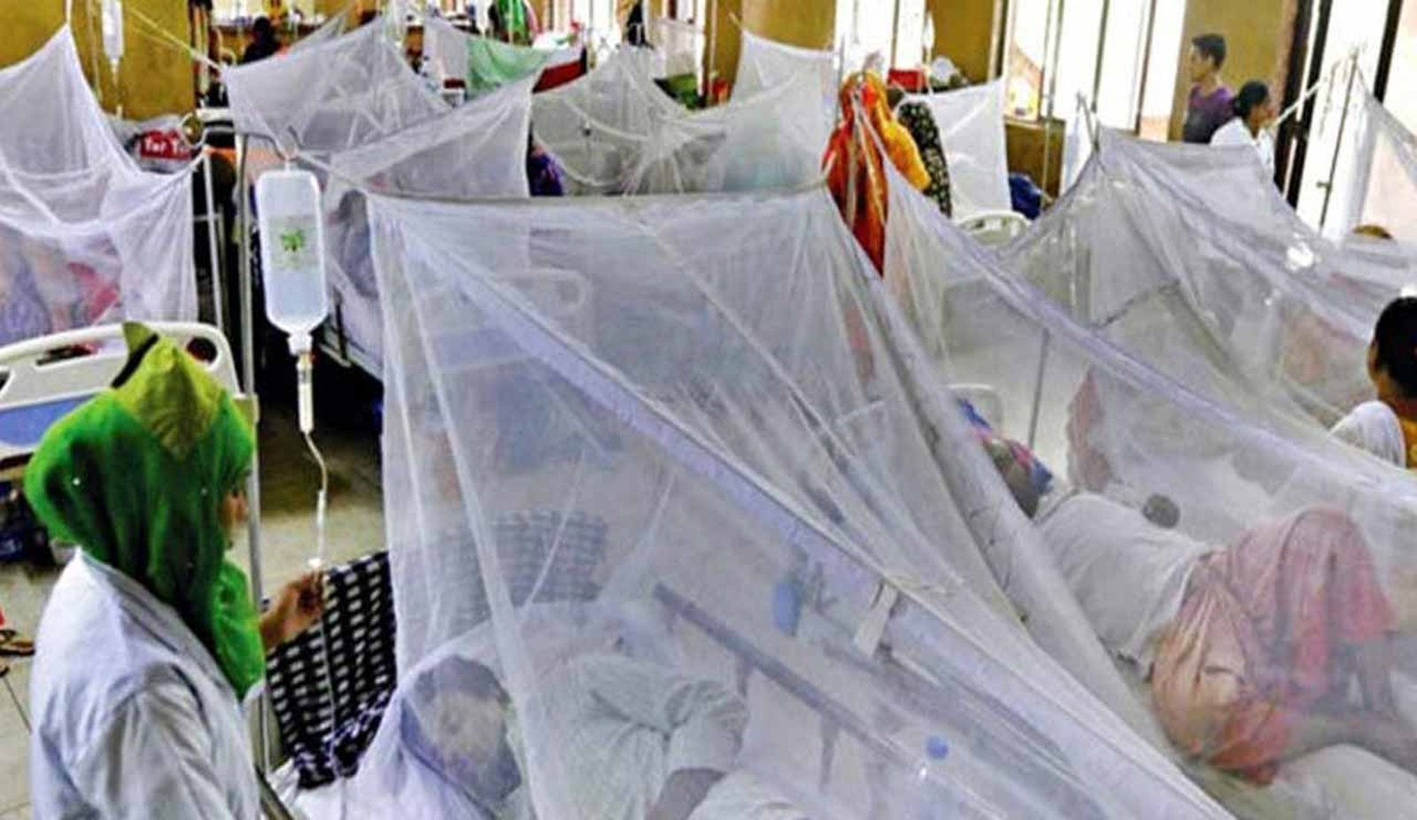 ডেঙ্গুতে আরও একজনের মৃত্যু, শনাক্ত ২০৯