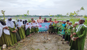 আন নাসিহা ফাউন্ডেশন এর উদ্যোগ বৃক্ষরোপণ কর্মসূচি অনুষ্ঠিত