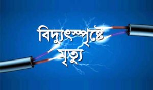 কুষ্টিয়ায় বিদ্যুৎস্পৃষ্টে মা ছেলের মৃত্যু