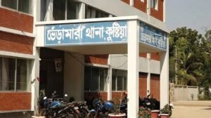 কুষ্টিয়ায় স্বামীকে বেঁধে স্ত্রীকে দলবদ্ধ ধর্ষণের অভিযোগ