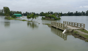 দুধকুমার নদীর পানি বিপৎসীমার ওপরে