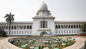 লুট হওয়া সাদাপাথর আগের জায়গায় ফেলার নির্দেশ হাইকোর্টের
