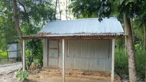 বুড়িচংয়ে সরকারি রাস্তা দখল করে দোকান নির্মাণ