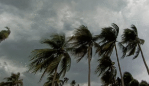 ঢাকাসহ যেসব অঞ্চলে ঝড়ের আভাস