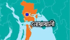 নোয়াখালীতে ব্যবসা ও জমি দখলের অভিযোগ, তদন্তের দাবি প্রবাসীর