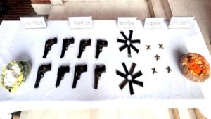 বিমানবন্দর রেলওয়ে স্টেশনে মিলল ককটেলসহ পিস্তল