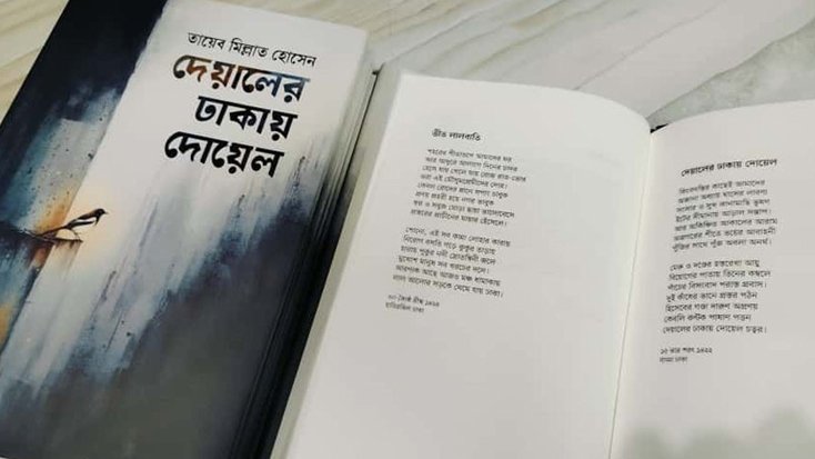 দেয়ালের ঢাকায় দোয়েল