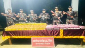 শেরপুরে বিজিবির অভিযানে ভারতীয় মালামাল ও মাদক জব্দ