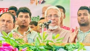 বিএনপি সরকারে গেলে রোহিঙ্গাদের মর্যাদার সঙ্গে ফেরত পাঠানো হবে