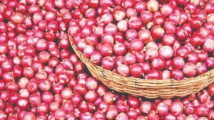 পেঁয়াজের দাম আরও বেড়ে ১২০ টাকা