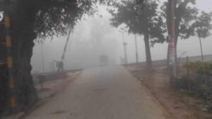 ঘন কুয়াশায় বিপর্যস্ত নীলফামারীর জনজীবন
