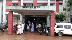 আমতলীতে জমি বিরোধে সংঘবদ্ধ হামলা