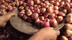 পেয়াজের সরবরাহ বাড়াতে আমদানির অনুমতি আরও বাড়ালো