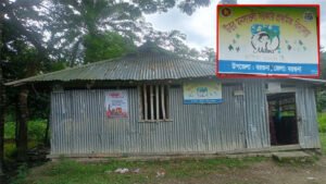 বরগুনায় তথ্য জালিয়াতি করে ভুয়া ঠিকানায় প্রাথমিক বিদ্যালয়ে চাকরি