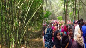 বাঁশ ঝাড়ে কলেজ শিক্ষার্থীর মরদেহ