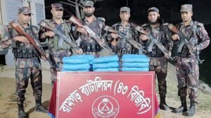 বিজিবির অভিযানে বিশ কেজি গাঁজা জব্দ