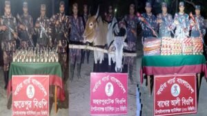 বিজিবির পৃথক অভিযানে ভারতীয় চোরাইমাল জব্দ