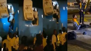 বিমান থেকে লাফিয়ে পড়লেন যাত্রীরা