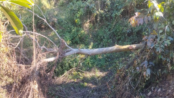 মানিকছড়িতে ভুমি দখলের অভিযোগে মামলা