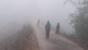 শেরপুরে শীতের তীব্রতা