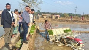 এলএসটিডি প্রকল্পের অর্থায়নে ধানের চারা রোপণ