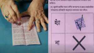 গণভোটে ‘হ্যাঁ’ জিতলে যা বদলে যাবে সংবিধানে